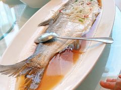 -翡翠江南(国贸商城店)
