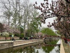 -元大都城垣遗址公园