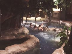 -中铁花水湾温泉酒店(大邑店)
