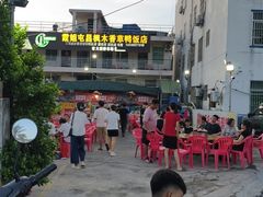 -霞姐屯昌枫木香草鸭店(海螺店)