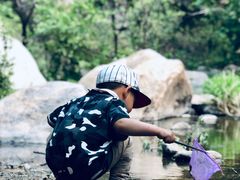 -碓臼峪自然风景区