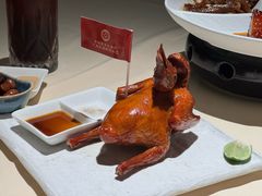 -侨美食家(体育西路店)