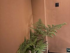 -泰·菩提树下[泰式按摩x精油SPAx肩颈头疗](新景店)