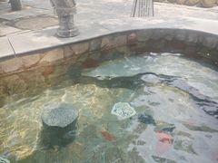 -国御温泉度假小镇