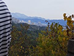 -天台山赤城山景区