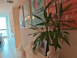 -Dr.林醫生产后修复·超级店(南京江宁同曦店)