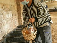 -郴州特产舜华临武鸭(郴州西站店)