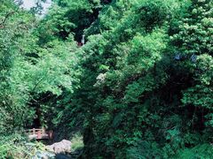 -华蓥山天意谷景区