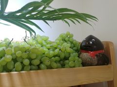 -津椰本·海南正宗椰奶清补凉(店一店)
