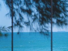 -西涌国际滨海旅游区