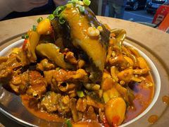 -洞庭家宴·头牌甲鱼(广渠门店)