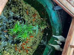 -锦上中式酒馆(南内环店)