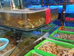水产区-友强·23年特色海鲜大排档(厦门店)