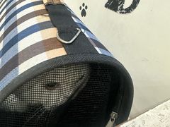 -瑞鹏宠物医院·夜间急症·心超·猫科(祖庙分店)