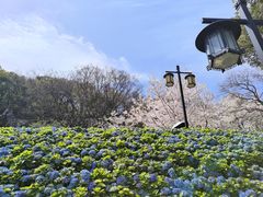 -苏州上方山国家森林公园