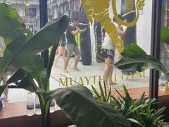 -TFC 纯泰拳馆MuayThai