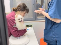 -伟伟宠物医院·CT影像中心·瑞派犬猫综合性门诊(汉口总院)