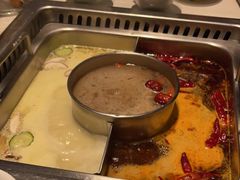 -巴奴毛肚火锅(大剧院店)