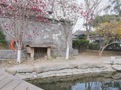 -三里河公园