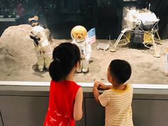 -济州岛泰迪熊博物馆