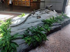 -自贡恐龙博物馆