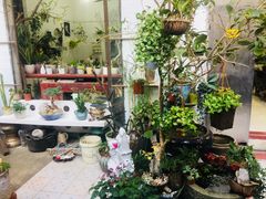 -小洲村
