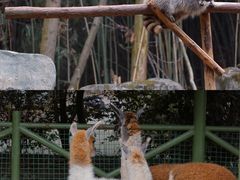 -杭州野生动物世界