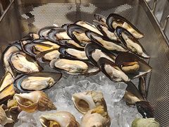 -沈阳和平艾美酒店新食谱西餐厅