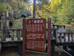 -苏木山森林公园