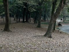 -杭州植物园