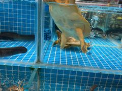 -江南韵·无锡太湖文化体验餐厅(凤凰天街店)
