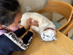 -藏猫猫咖啡主题馆(中央大道店)