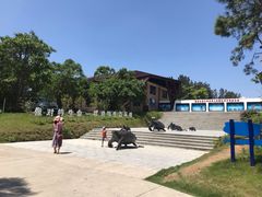 -广东惠东海龟国家级自然保护区