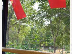 -西青郊野公园