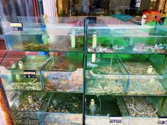 水产区-四海鲜渔家菜(黄金海岸店)