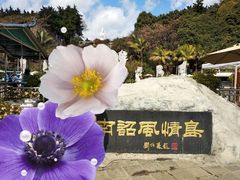 -南诏风情岛