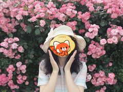 -习家池