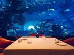 -迪拜帆船酒店海底餐厅