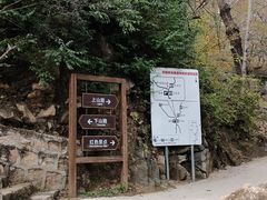 -大岭沟猕猴桃谷风景区