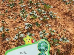 -天河儿童公园