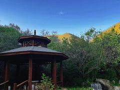 -静之湖度假区