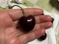 -沃尔玛超市(北大街店)