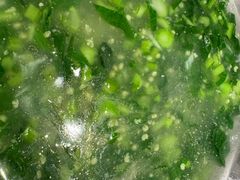 -蓝北人家·渝菜