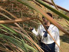 -盘龙城国家考古遗址公园