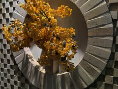 -Dragonfly 悠庭·按摩Spa(苏州中心广场店)