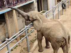 -西霞口神雕山野生动物世界