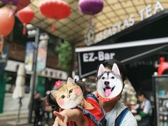 -祥云美食城(南强步行街店)