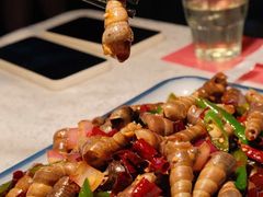 -望海观澜海景音乐餐吧(帆船基地店)