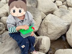 -吴淞炮台湾湿地森林公园烧烤区