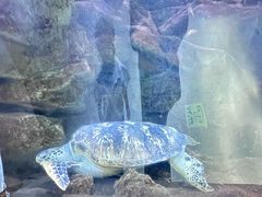 -洛阳龙门海洋馆